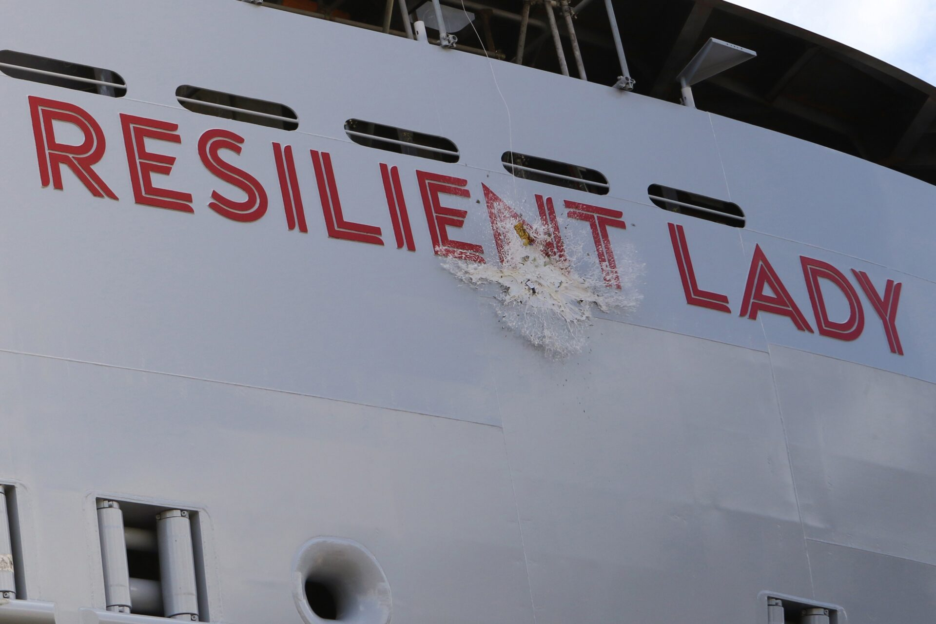 Resilient Lady 6289